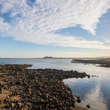 Jeju Washington Pension Σεογκουίπο Εξωτερικό φωτογραφία